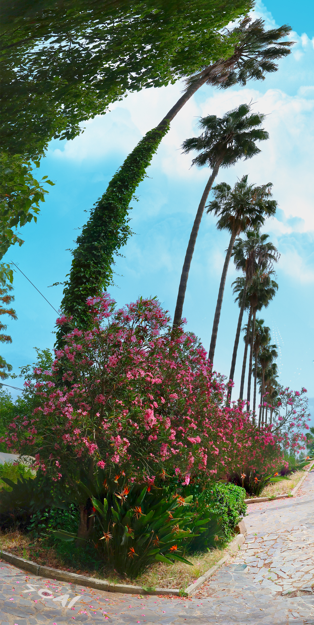 univ defla pano.jpg